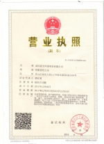 武汉碧艾环保营业执照